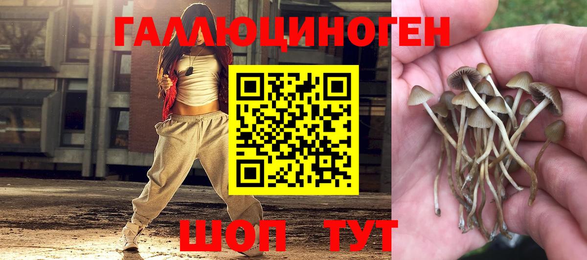 Дивногорск  Псилоцибиновые грибы Magic Shrooms  Вход с VPN 